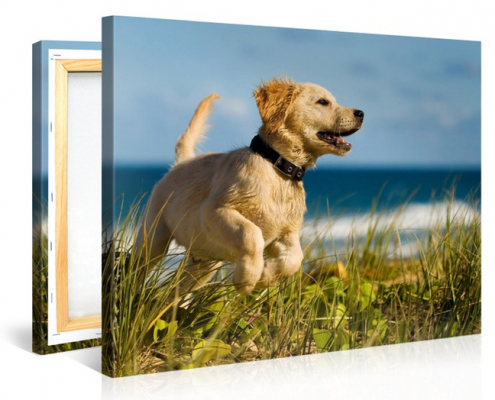 canvas-print