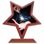 Trofeu stea din lemn