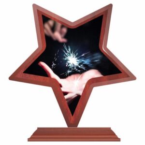 Trofeu stea din lemn