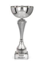 Cupă argintie